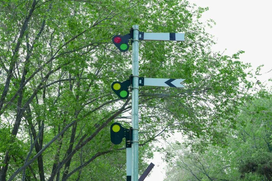 来跟小编逛公园拍大片！(图3)