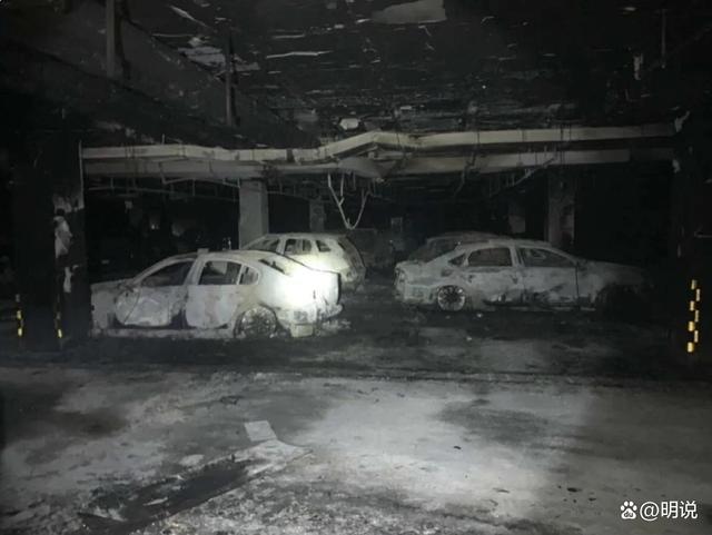 五星级酒店禁止新能源车进入：地下车库都是豪车若起火损失巨大(图6)