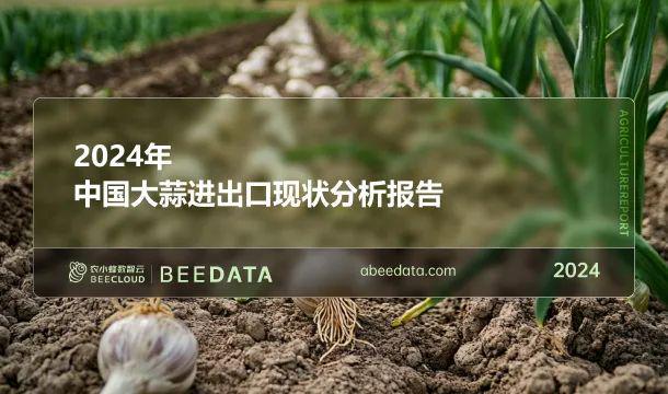 2024年中国大蒜贸易现状分析(图1)