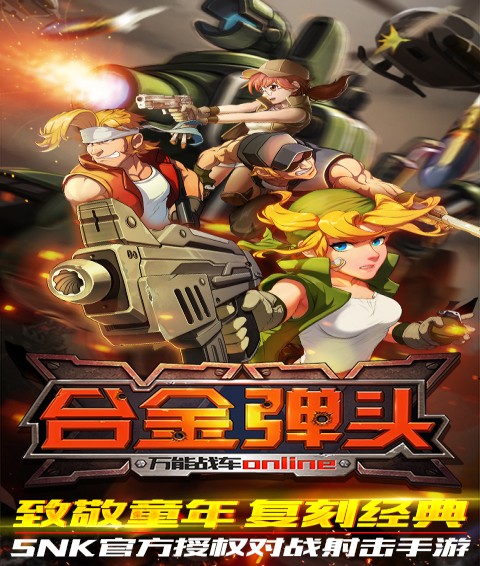 合金弹头OL(图1)