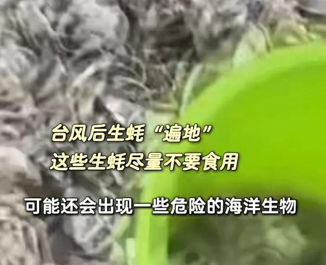 太诱人！捡不完用桶装用车载！专家紧急提醒：不要吃(图5)