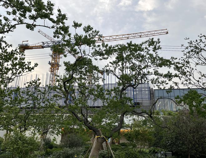 招商时代乐章欢迎您丨网站2024丨楼盘详情价格户型(图24)