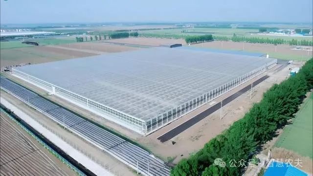现代设施农业连续多年写入中央一号文件为什么国家这样重视？(图1)