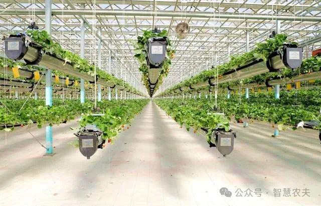 现代设施农业连续多年写入中央一号文件为什么国家这样重视？(图6)