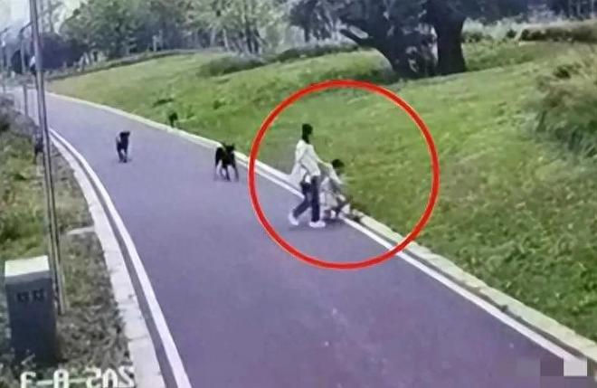 公园里群狗撕咬母女俩都是大型犬遛狗从不栓绳(图1)