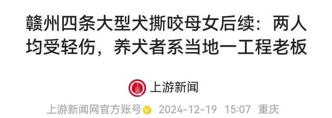 公园里群狗撕咬母女俩都是大型犬遛狗从不栓绳(图3)
