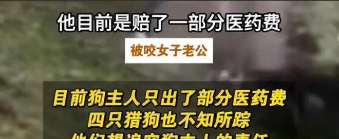 公园里群狗撕咬母女俩都是大型犬遛狗从不栓绳(图5)