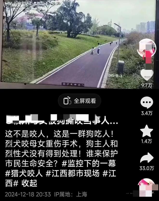 公园里群狗撕咬母女俩都是大型犬遛狗从不栓绳(图4)