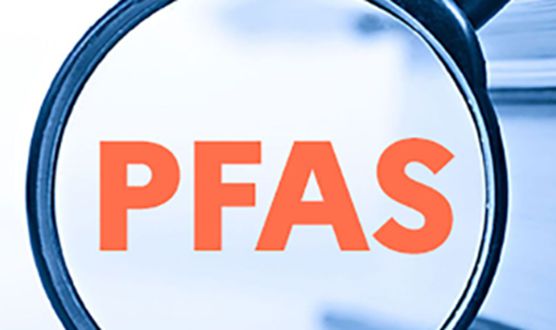 AB1817法案2525年1月生效！禁止服装和纺织产品中的PFAS(图3)
