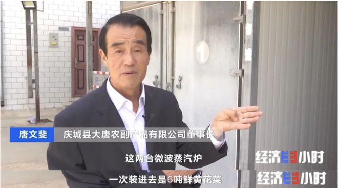 高考素材——戈壁滩上种菜远销海内外！(图16)
