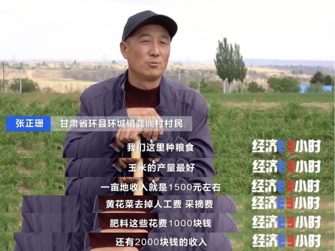 高考素材——戈壁滩上种菜远销海内外！(图14)