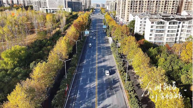 让城市生活更美好信阳城市管理2024年“奋斗足迹”(图10)