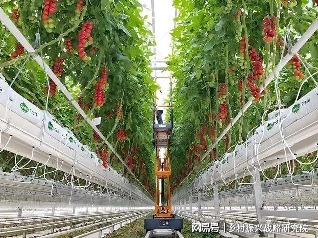 现代设施农业是农业现代化进程中的关键力量(图2)