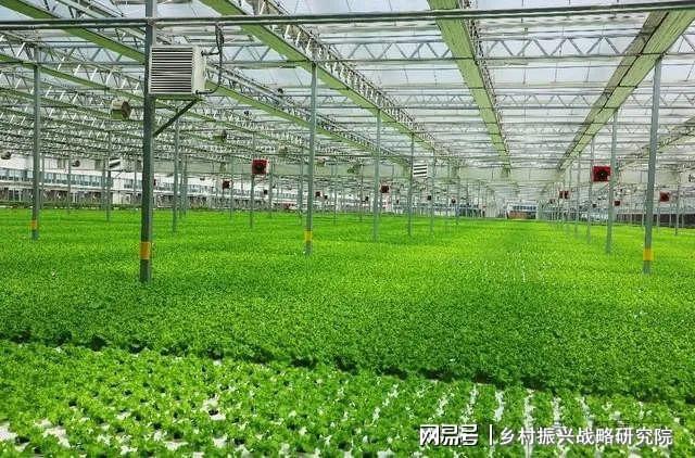 现代设施农业是农业现代化进程中的关键力量(图5)