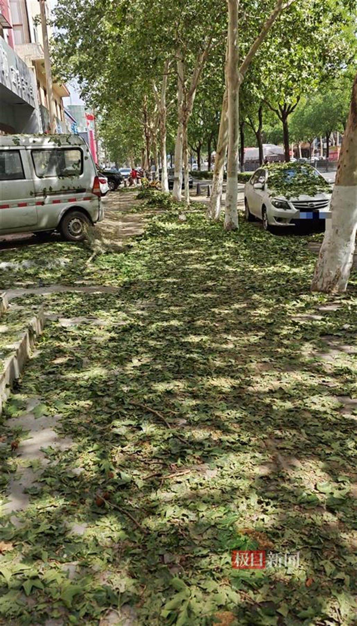 西安突降冰雹二手车商称多车被砸保险公司客服回应(图3)