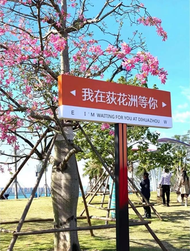 厦门荻花洲因刀郎厦门演唱会而火的一个景点曾是官渡之一(图6)