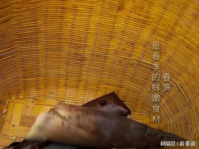 苗苗转换新赛道！带娃体验露营生活亲自砍柴烧火成翻版李子柒(图11)
