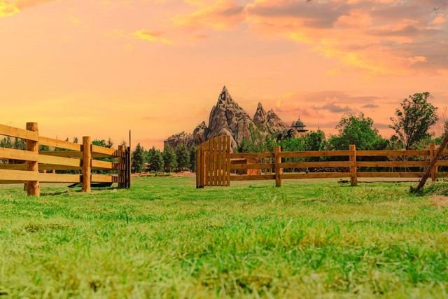 五一银基奇妙游:星空露营×夜探猛兽!家庭套票立省200(图2)