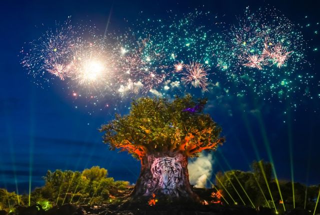 五一银基奇妙游:星空露营×夜探猛兽!家庭套票立省200(图5)