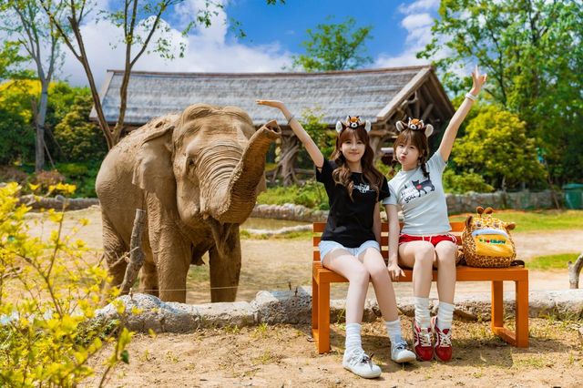 五一银基奇妙游:星空露营×夜探猛兽!家庭套票立省200(图4)