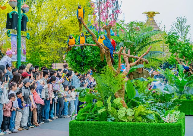 五一银基奇妙游:星空露营×夜探猛兽!家庭套票立省200(图3)