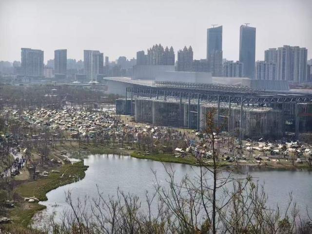 世博文化公园禁用风绳和地钉后有人选择离开有人想出了对策！公园草坪已鲜见天幕但争议仍存在(图6)