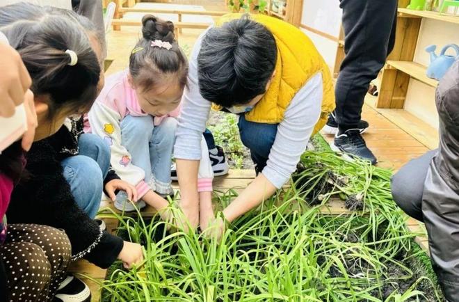 看见孩子们的需求杨浦这所幼儿园展新颜(图8)