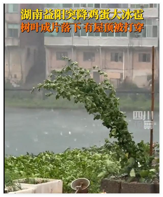 湖南突降冰雹有鸡蛋那么大(图1)