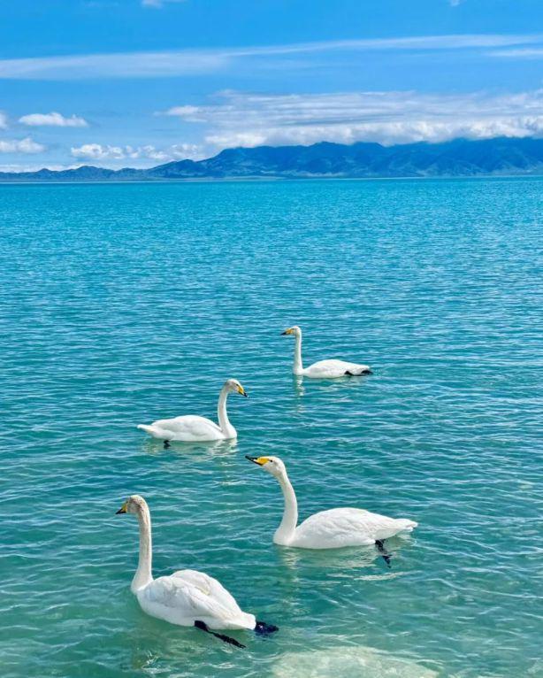 去新疆玩几天比较合适?新疆旅游团报价多少钱?自助游攻略及花费(图1)