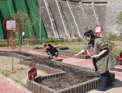 舟曲税务：“小菜地”播种“大幸福”(图1)