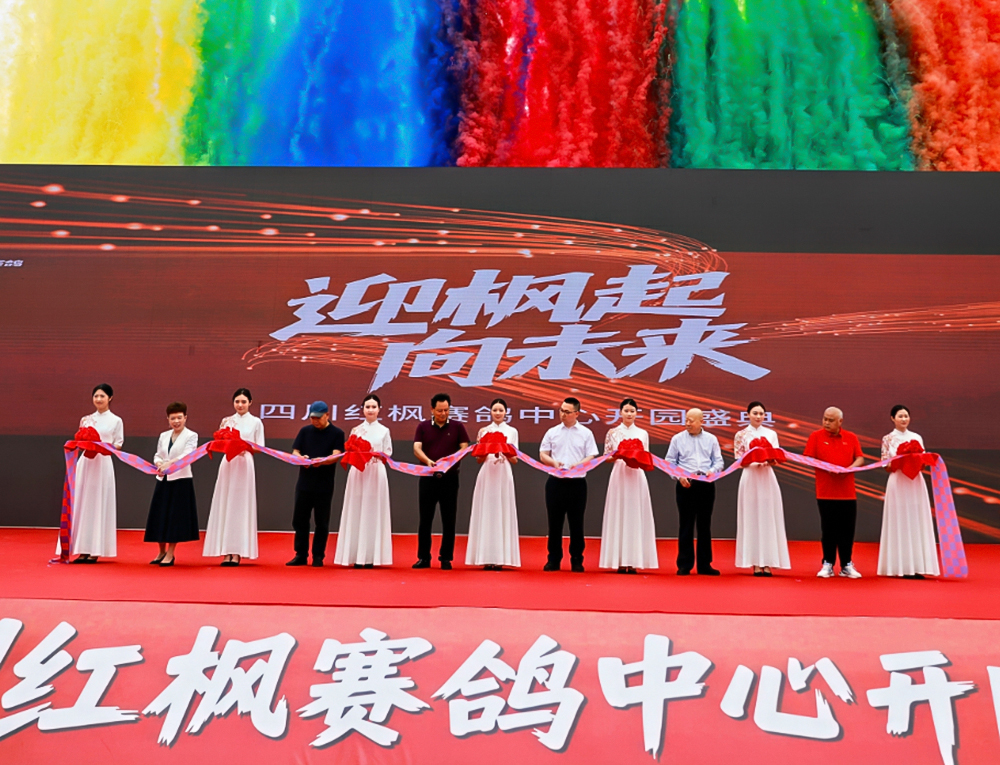 自贡富顺县：西南最大赛鸽养训基地落地营商环境助力产业腾飞(图1)