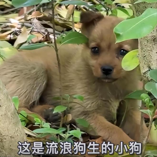 为何到上海送外卖两年还在住桥洞！37岁结不起婚看他爹就知道了(图7)