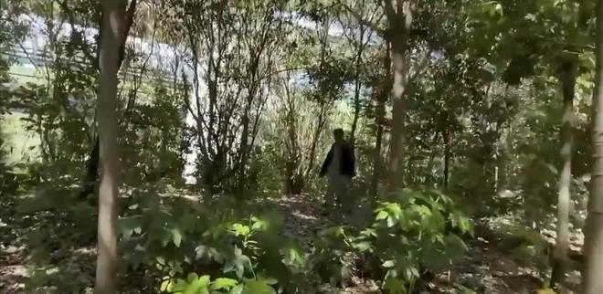 为何到上海送外卖两年还在住桥洞！37岁结不起婚看他爹就知道了(图1)