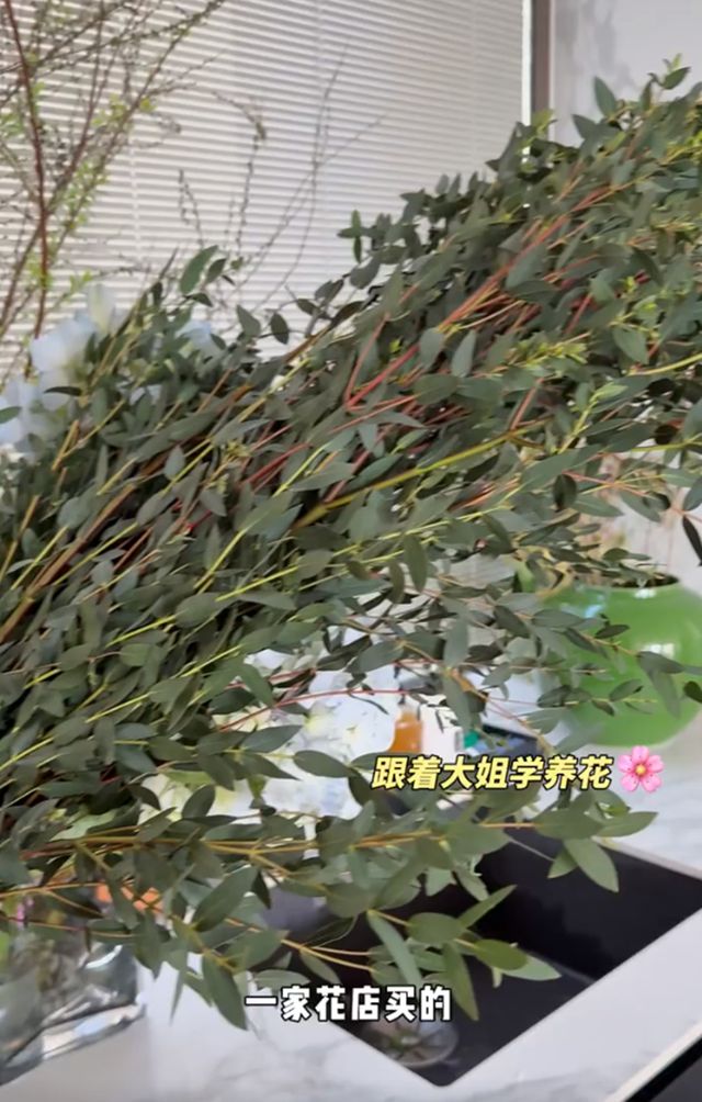 颖儿邀朋友来北京别墅露营庭院内搭帐篷和超大充气城堡好惬意(图3)