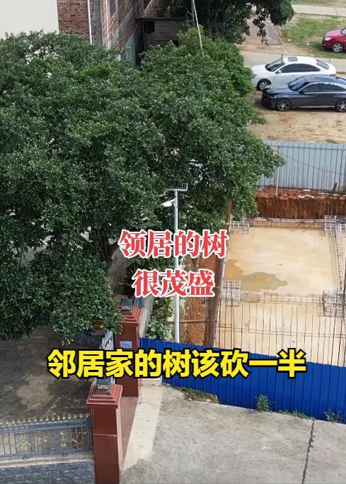 全红婵家一建房邻居家也开始行动全家地基质量被网友狂赞太过关(图10)