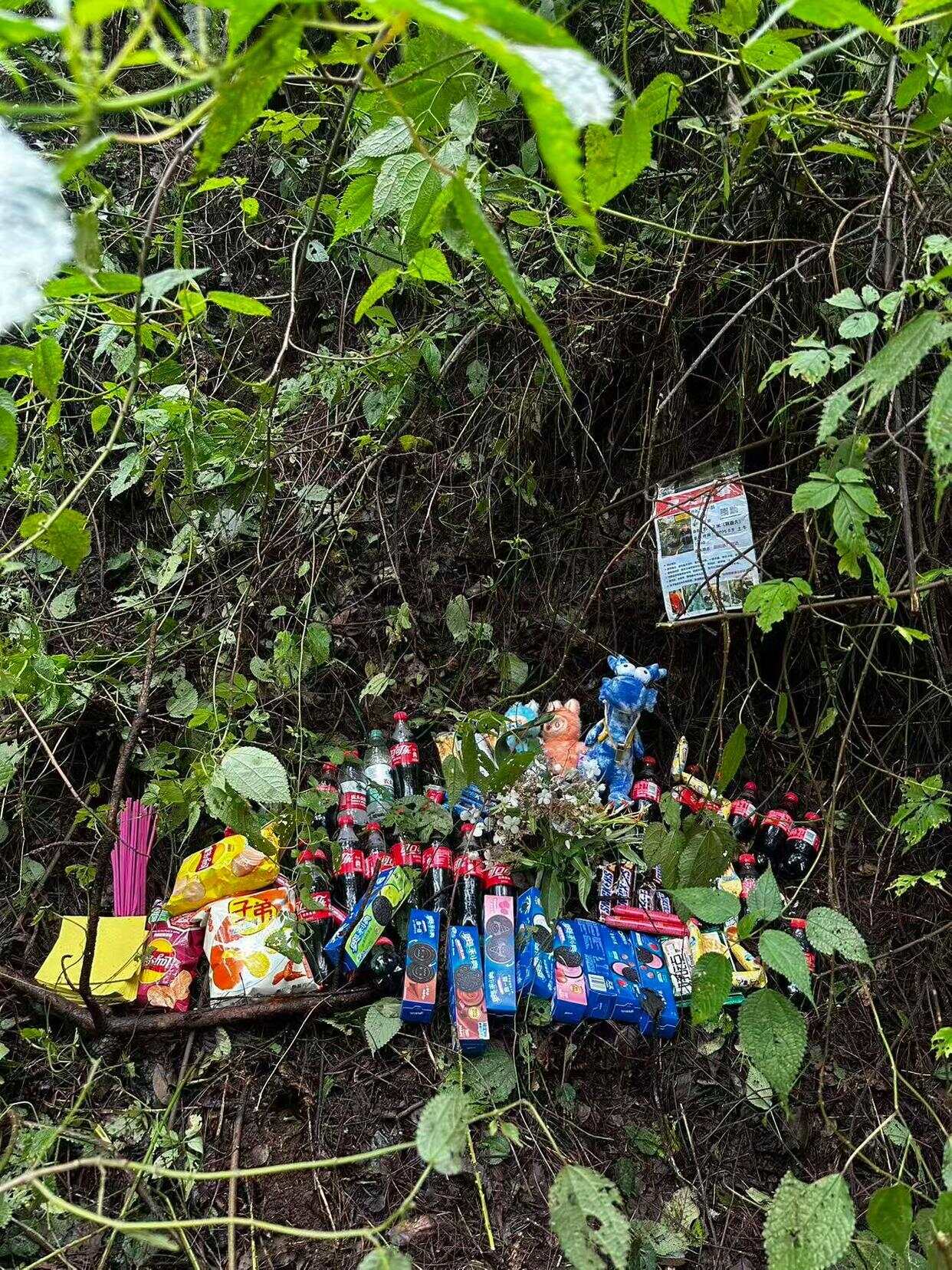 苍山走失自闭症男童遇难生前衣服脱光疑失温(图1)