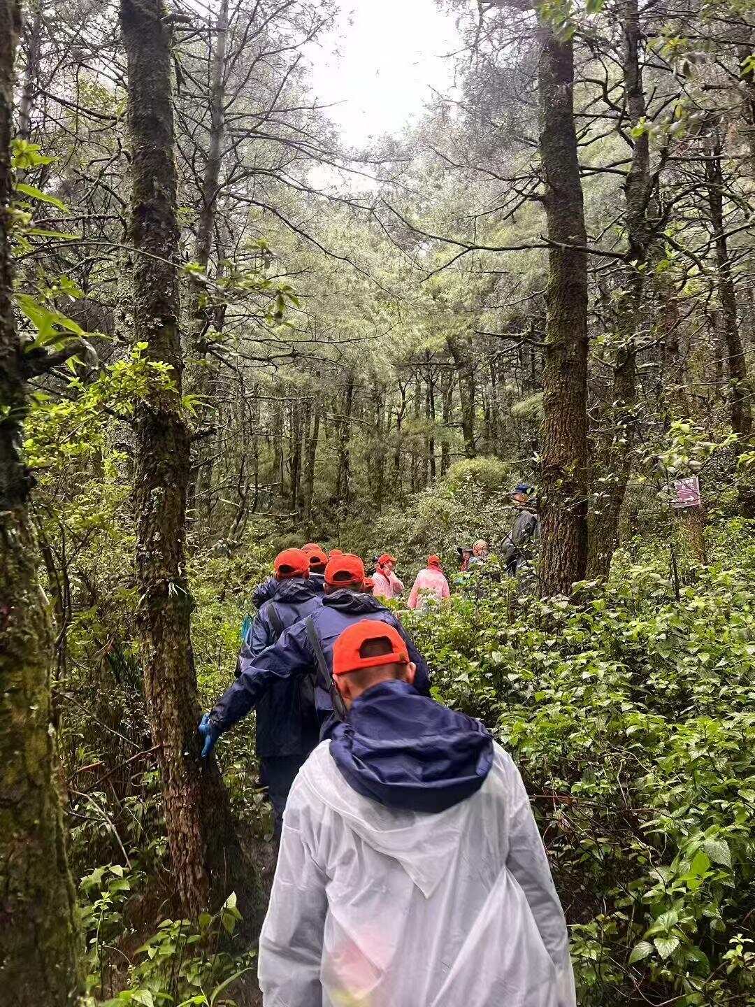 苍山走失自闭症男童遇难生前衣服脱光疑失温(图3)
