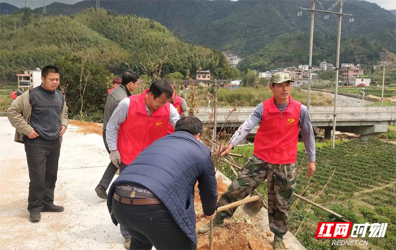 谭志孝：莽山种“善行生态林”(图3)