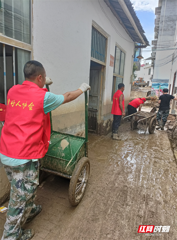 谭志孝：莽山种“善行生态林”(图5)