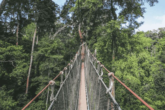 新加坡8个适合情侣的户外活动(图7)