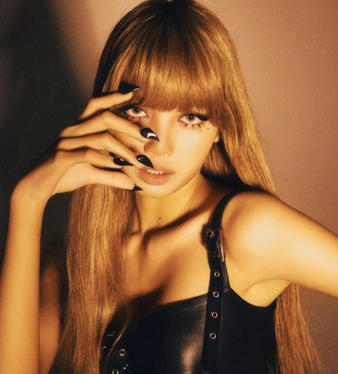 Lisa被曝使用价值4亿韩元手提包(图4)