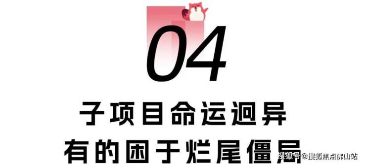 实探!南庄烂尾楼命运迥异有的走向复活有的沦为仓库(图12)