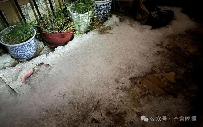 北京进入冰河世纪?(图4)