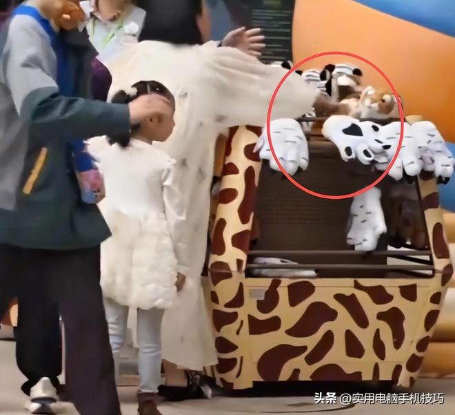 女子大闹长隆动物园后续！被拒带狗撒泼打砸正脸曝光园长回应(图8)