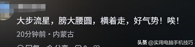 女子大闹长隆动物园后续！被拒带狗撒泼打砸正脸曝光园长回应(图20)