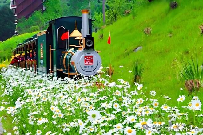 轨道观光小火车：特点与用途解析(图3)