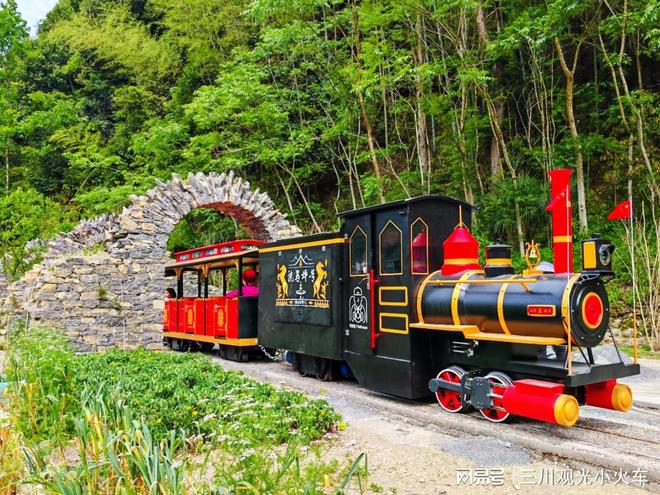 轨道观光小火车：特点与用途解析(图4)
