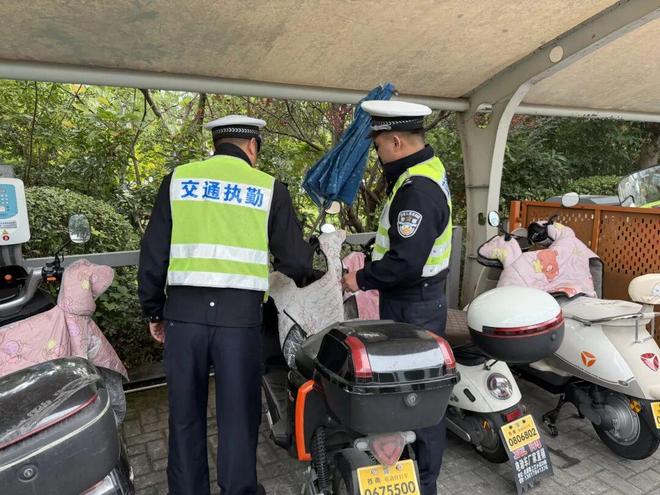 苍南大行动！拆除2000余个(图1)