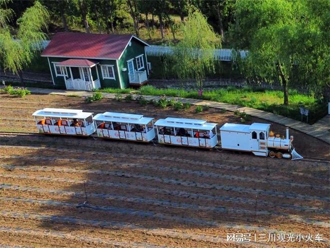 如何购买轨道小火车？在哪里可以找到正规的购买渠道？(图3)