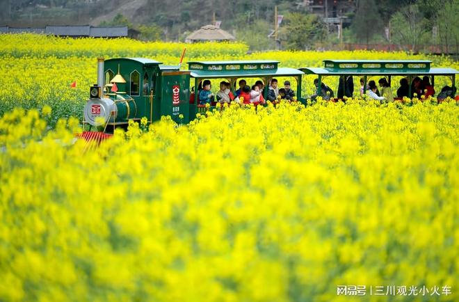 如何购买轨道小火车？在哪里可以找到正规的购买渠道？(图2)